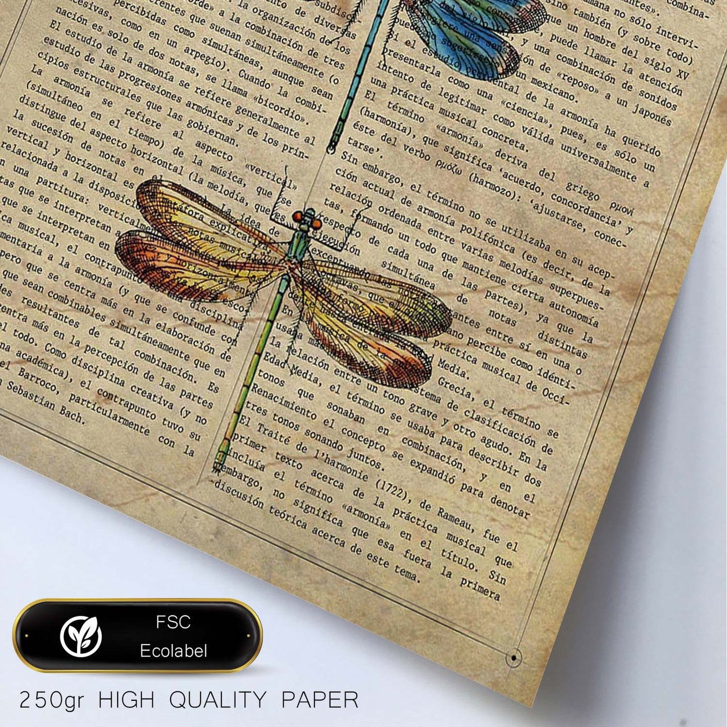 Poster de Tres libÃ©lulas. Láminas de mariposas. Decoración de mariposas y polillas.-Artwork-Nacnic-Nacnic Estudio SL