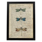 Poster de Tres libÃ©lulas. Láminas de mariposas. Decoración de mariposas y polillas.-Artwork-Nacnic-A4-Marco Negro-Nacnic Estudio SL