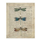 Poster de Tres libÃ©lulas. Láminas de mariposas. Decoración de mariposas y polillas.-Artwork-Nacnic-A4-Sin marco-Nacnic Estudio SL