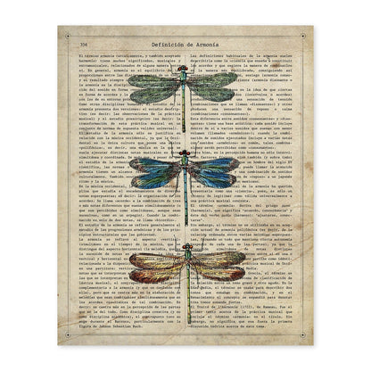 Poster de Tres libÃ©lulas. Láminas de mariposas. Decoración de mariposas y polillas.-Artwork-Nacnic-A4-Sin marco-Nacnic Estudio SL