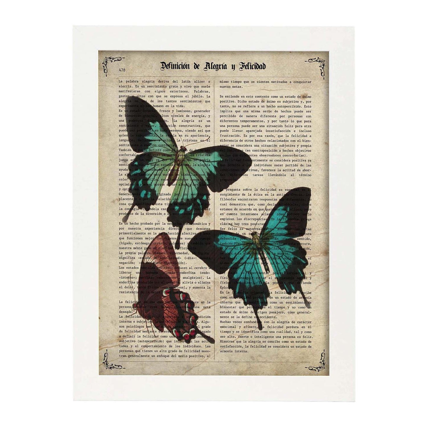 Poster de Tres mariposas. Láminas de mariposas. Decoración de mariposas y polillas.-Artwork-Nacnic-A3-Marco Blanco-Nacnic Estudio SL