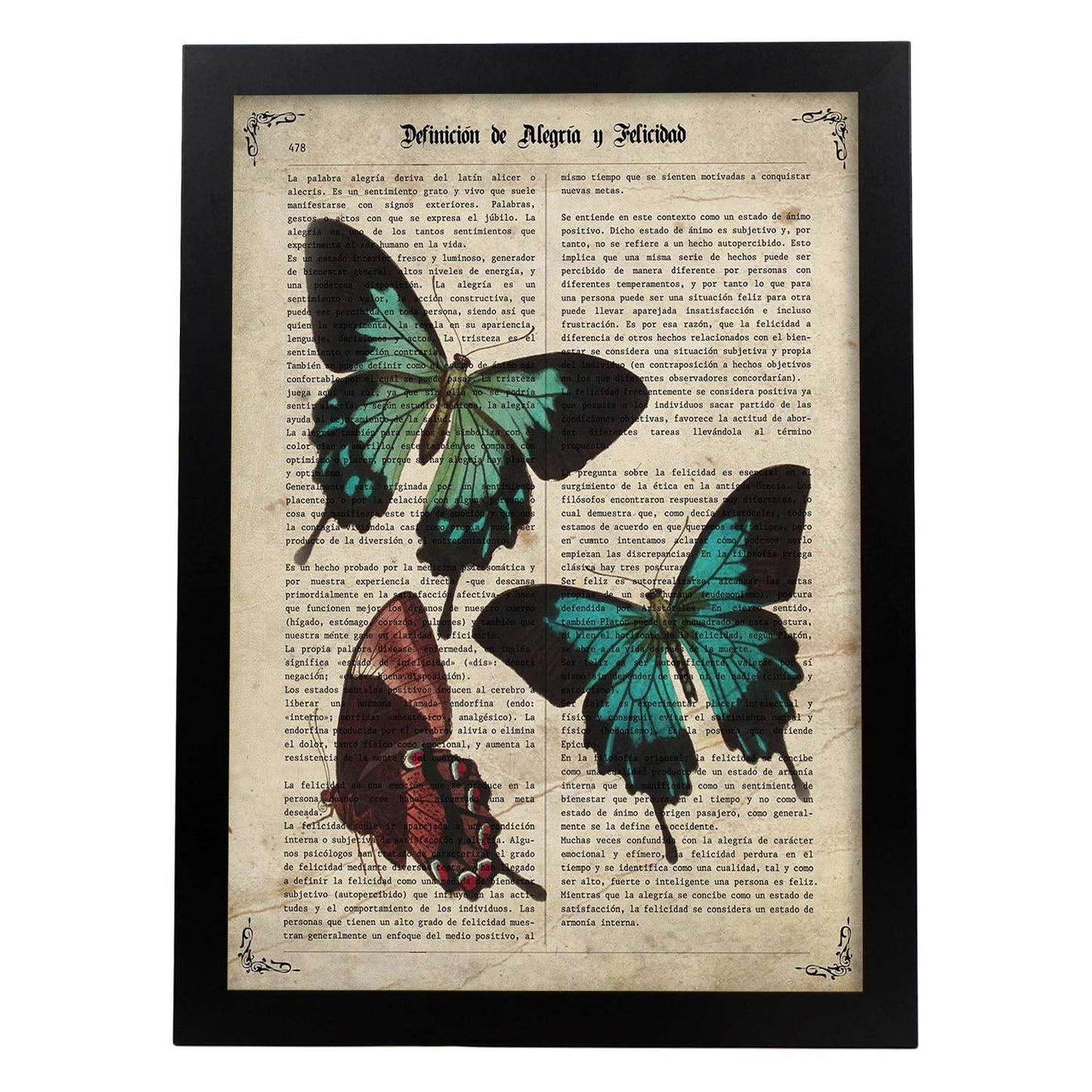Poster de Tres mariposas. Láminas de mariposas. Decoración de mariposas y polillas.-Artwork-Nacnic-A3-Marco Negro-Nacnic Estudio SL