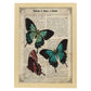 Poster de Tres mariposas. Láminas de mariposas. Decoración de mariposas y polillas.-Artwork-Nacnic-A4-Marco Madera clara-Nacnic Estudio SL