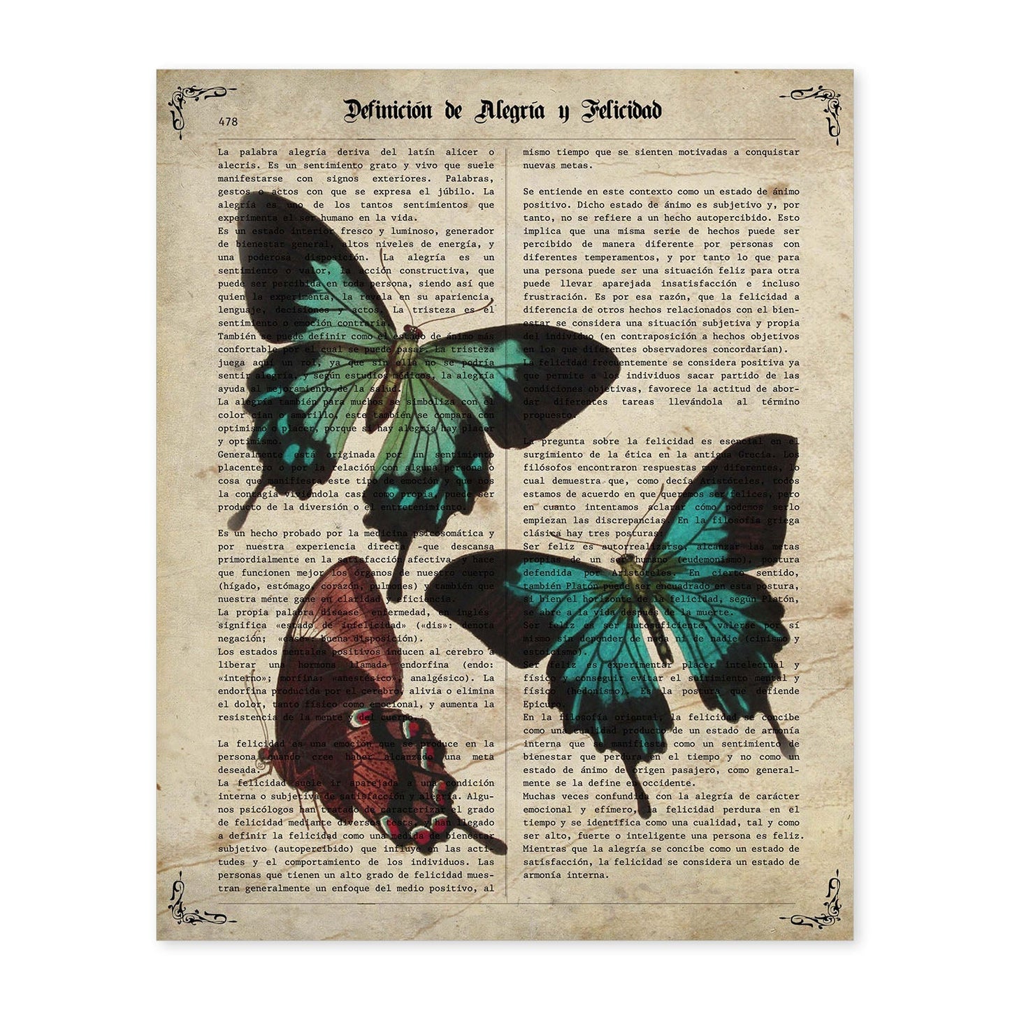 Poster de Tres mariposas. Láminas de mariposas. Decoración de mariposas y polillas.-Artwork-Nacnic-A4-Sin marco-Nacnic Estudio SL
