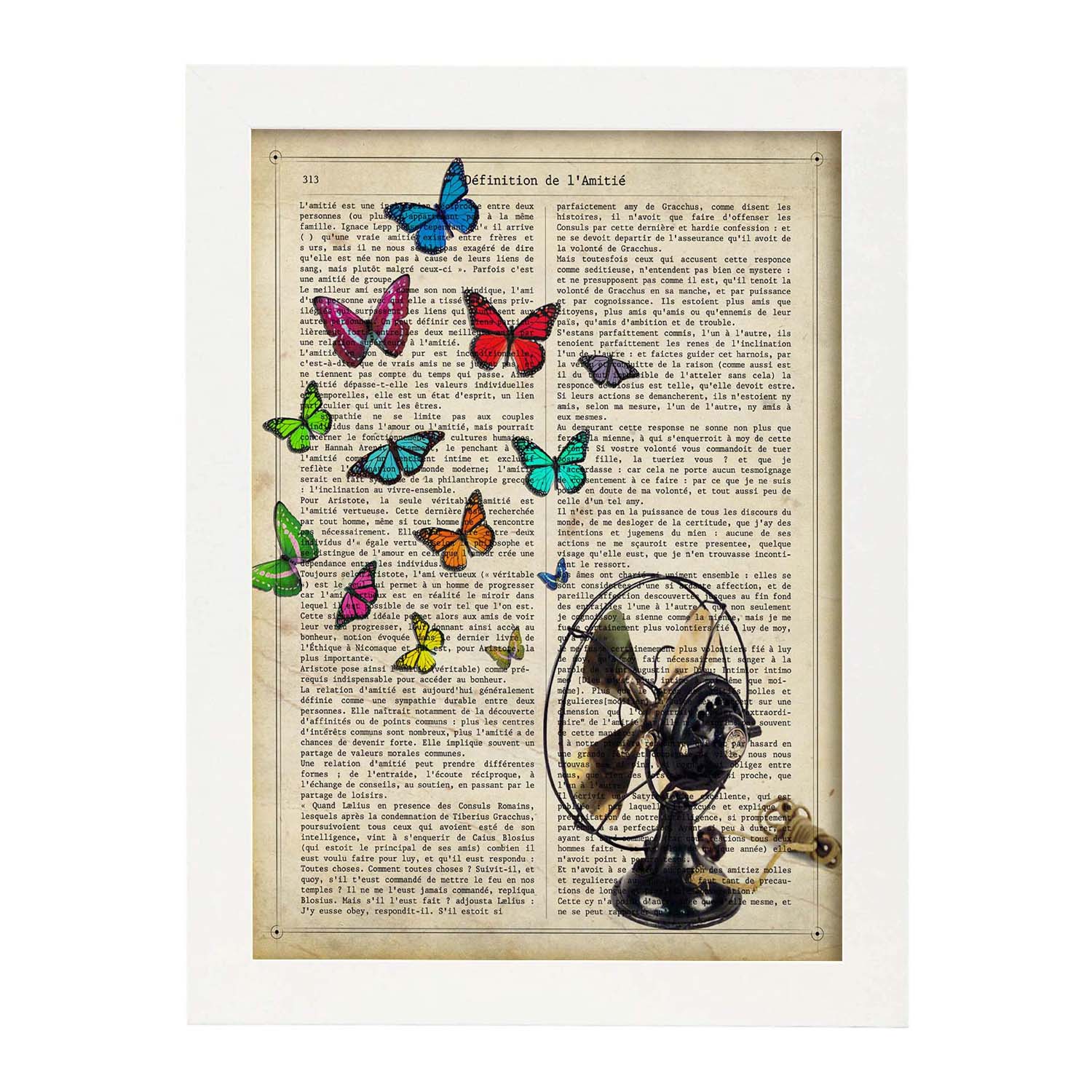 Poster de Ventilador con mariposas. Láminas de mariposas. Decoración de mariposas y polillas.-Artwork-Nacnic-Nacnic Estudio SL