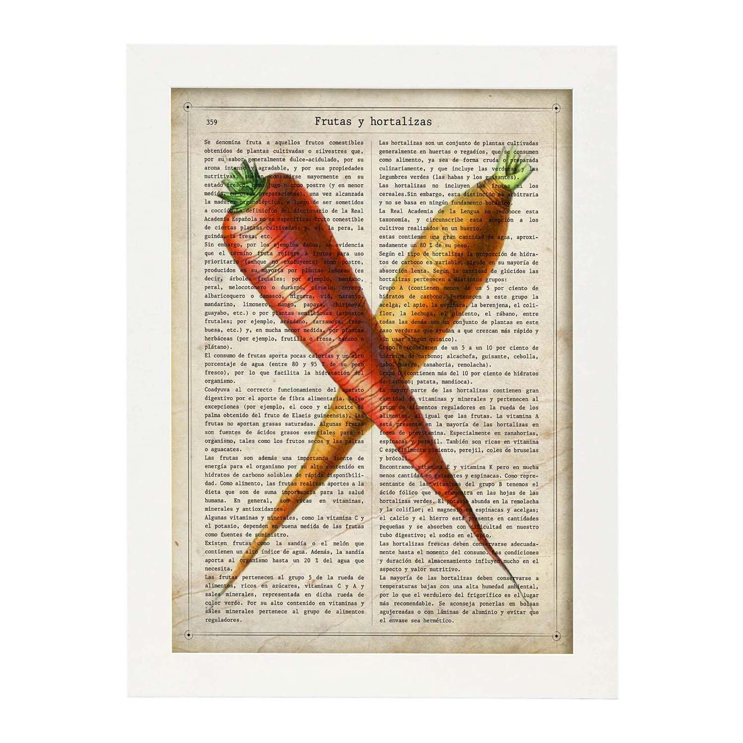 Poster de Zanahorias. Láminas de frutas y verduras con definiciones. Ilustraciones de alimentacion vegetariana.-Artwork-Nacnic-A3-Marco Blanco-Nacnic Estudio SL