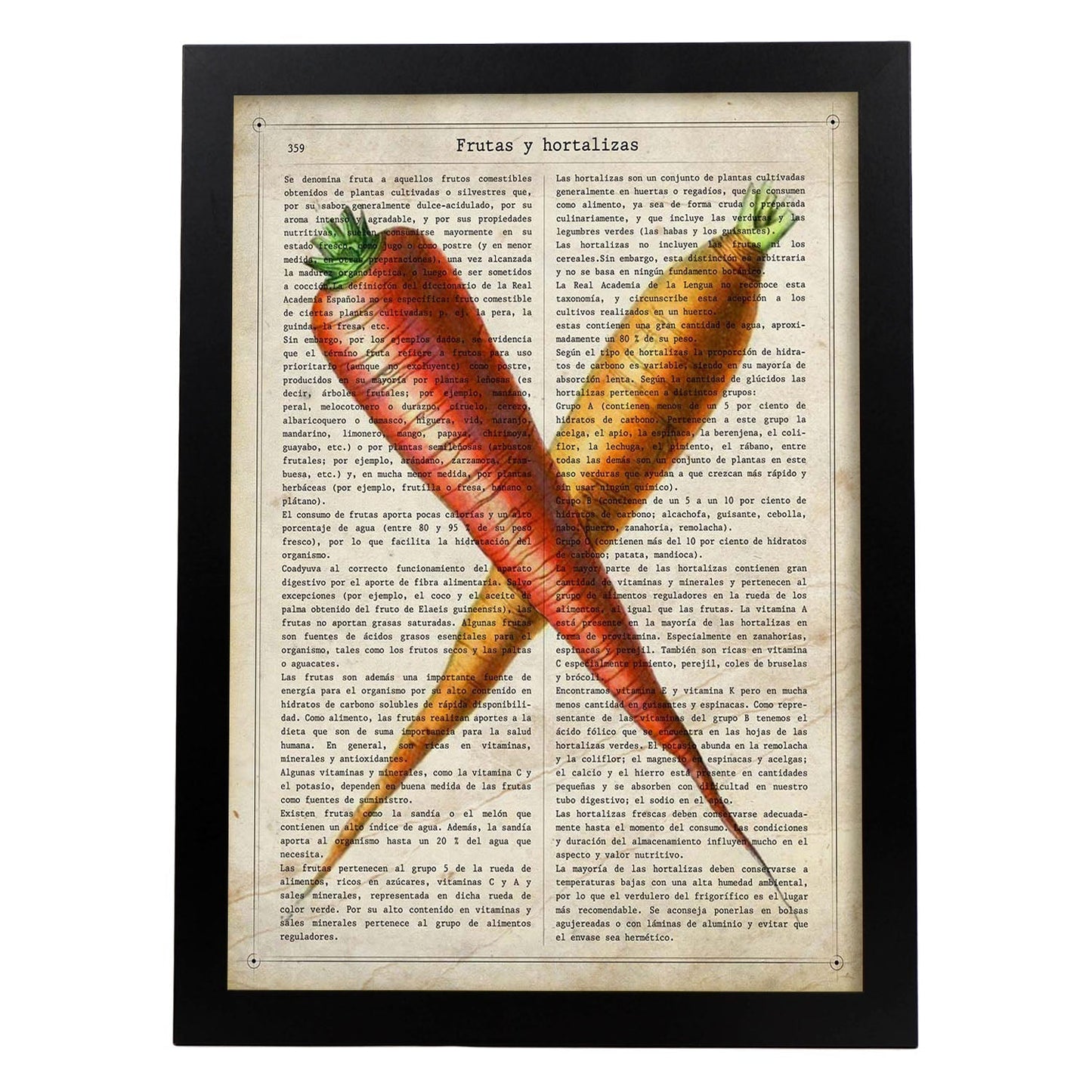 Poster de Zanahorias. Láminas de frutas y verduras con definiciones. Ilustraciones de alimentacion vegetariana.-Artwork-Nacnic-A3-Marco Negro-Nacnic Estudio SL
