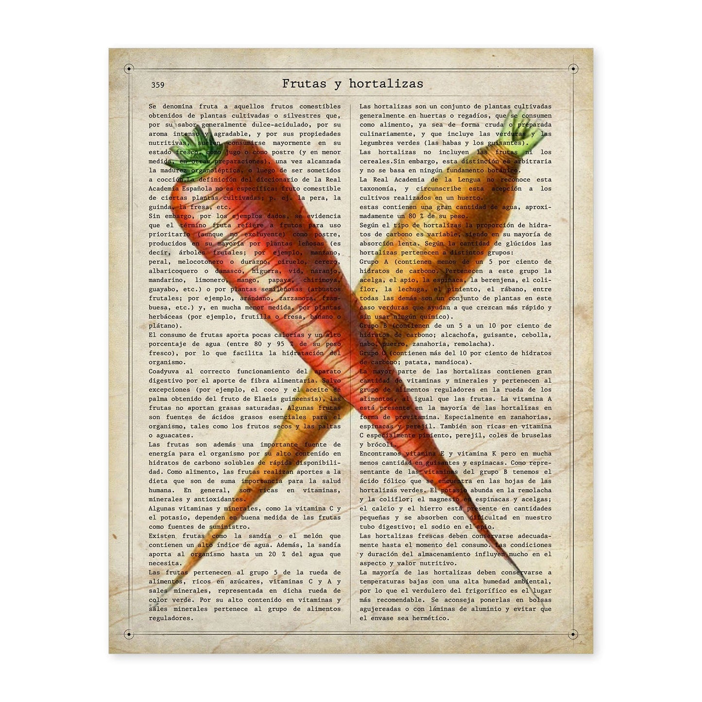 Poster de Zanahorias. Láminas de frutas y verduras con definiciones. Ilustraciones de alimentacion vegetariana.-Artwork-Nacnic-A4-Sin marco-Nacnic Estudio SL
