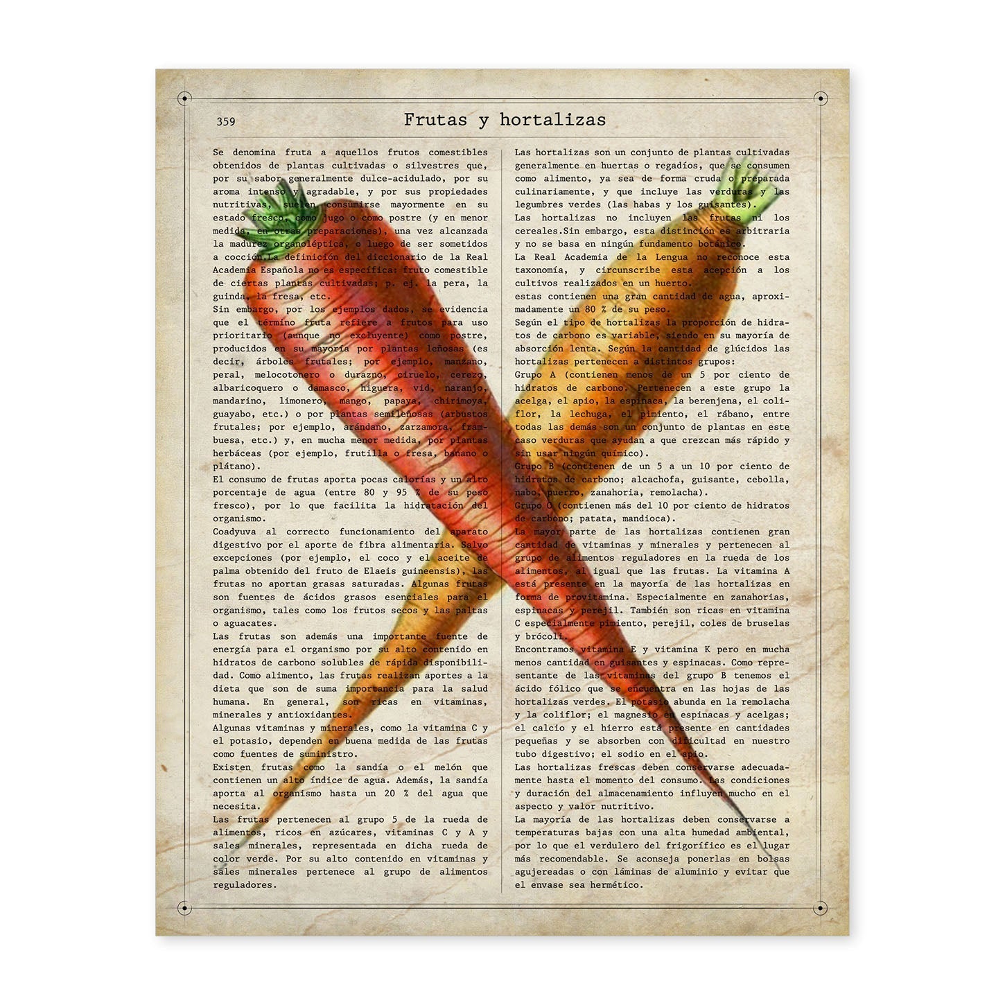 Poster de Zanahorias. Láminas de frutas y verduras con definiciones. Ilustraciones de alimentacion vegetariana.-Artwork-Nacnic-A4-Sin marco-Nacnic Estudio SL