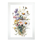Lámina de Flores Silvestres Acuarela