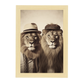 Póster Moda Leones