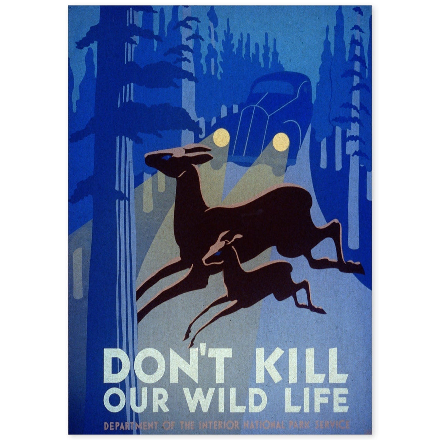 Poster vintage. Cartel vintage "Protege a la vida salvaje".-Artwork-Nacnic-A4-Sin marco-Nacnic Estudio SL