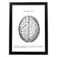 Posters de anatomía en blanco y negro con imágenes del cuerpo humano. Láminas de "Cerebro". .-Artwork-Nacnic-A4-Marco Negro-Nacnic Estudio SL