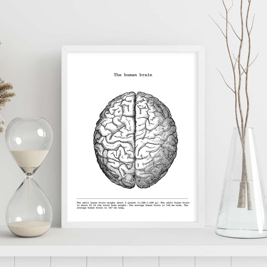 Posters de anatomía en blanco y negro con imágenes del cuerpo humano. Láminas de "Cerebro". .-Artwork-Nacnic-Nacnic Estudio SL