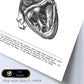 Posters de anatomía en blanco y negro con imágenes del cuerpo humano. Láminas de "Corazón lateral". .-Artwork-Nacnic-Nacnic Estudio SL