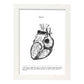 Posters de anatomía en blanco y negro con imágenes del cuerpo humano. Láminas de "Corazón". .-Artwork-Nacnic-A3-Marco Blanco-Nacnic Estudio SL