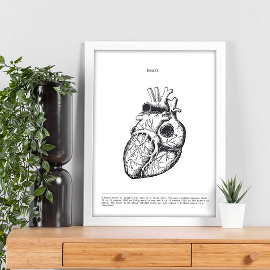 Posters de anatomía en blanco y negro con imágenes del cuerpo humano. Láminas de "Corazón". .-Artwork-Nacnic-Nacnic Estudio SL
