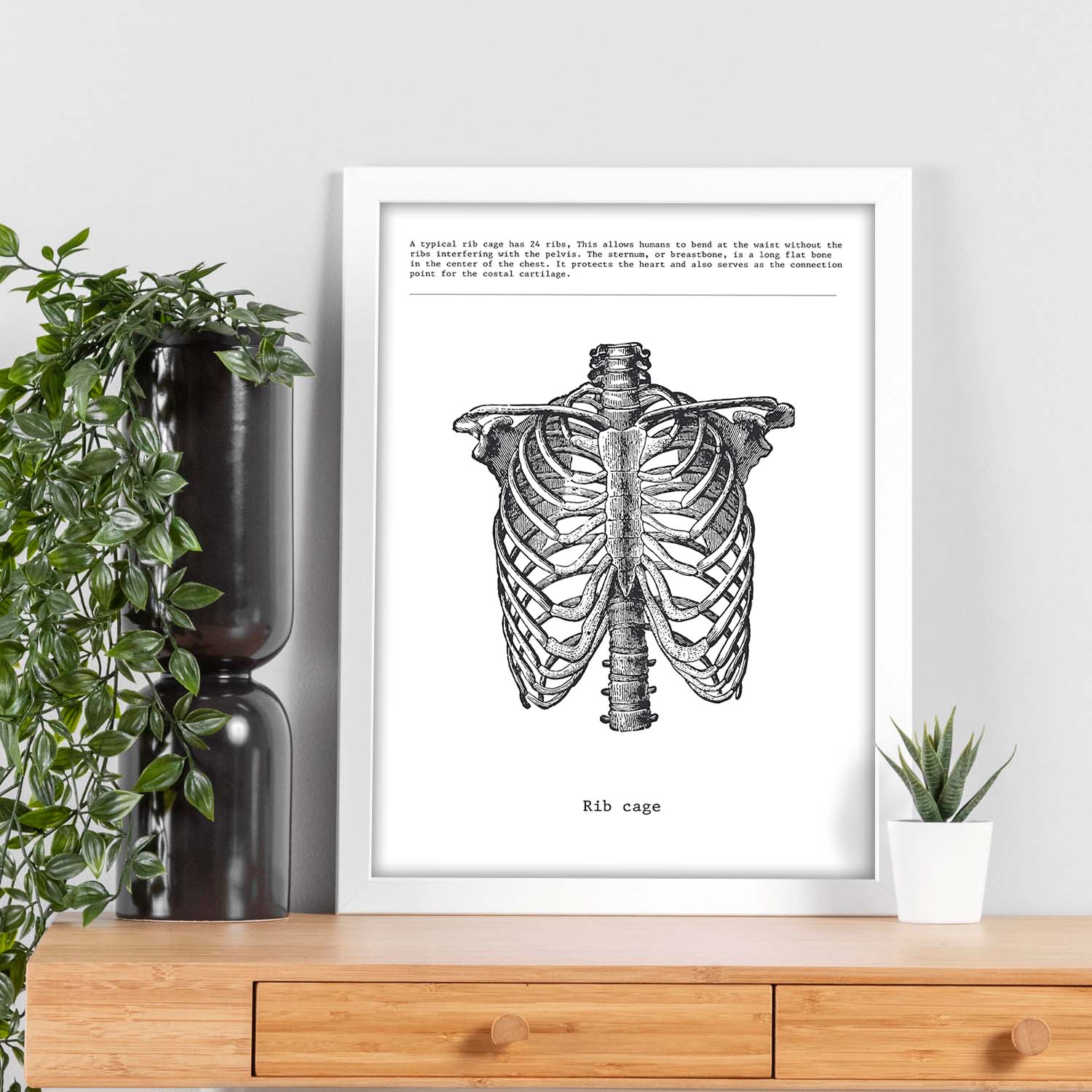 Posters de anatomía en blanco y negro con imágenes del cuerpo humano. Láminas de "Costillas". .-Artwork-Nacnic-Nacnic Estudio SL