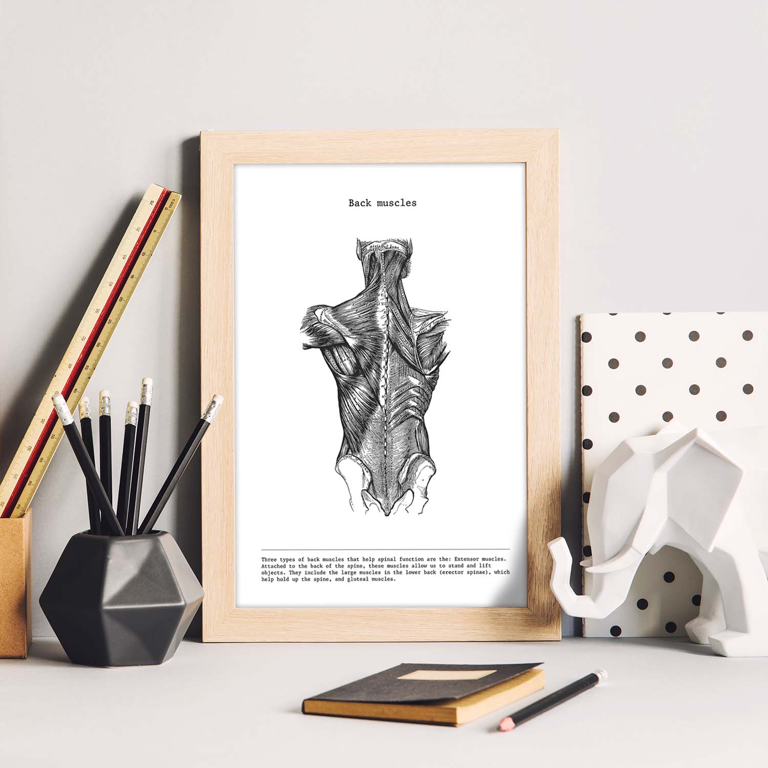 Posters de anatomía en blanco y negro con imágenes del cuerpo humano. Láminas de "Espalda". .-Artwork-Nacnic-Nacnic Estudio SL
