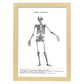 Posters de anatomía en blanco y negro con imágenes del cuerpo humano. Láminas de "Esqueleto". .-Artwork-Nacnic-A3-Marco Madera clara-Nacnic Estudio SL