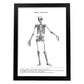 Posters de anatomía en blanco y negro con imágenes del cuerpo humano. Láminas de "Esqueleto". .-Artwork-Nacnic-A3-Marco Negro-Nacnic Estudio SL