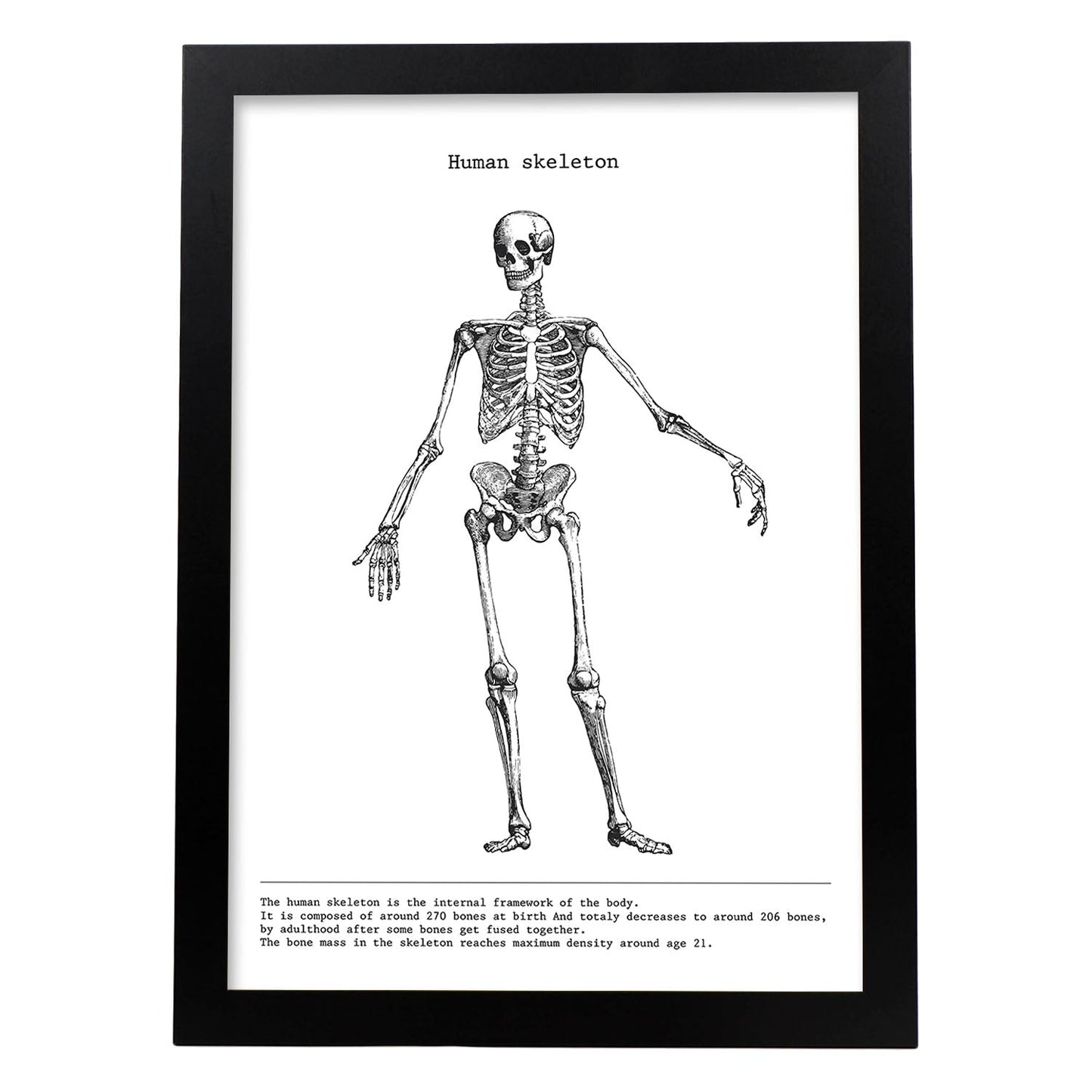 Posters de anatomía en blanco y negro con imágenes del cuerpo humano. Láminas de "Esqueleto". .-Artwork-Nacnic-A3-Marco Negro-Nacnic Estudio SL
