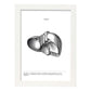Posters de anatomía en blanco y negro con imágenes del cuerpo humano. Láminas de "Hígado". .-Artwork-Nacnic-A3-Marco Blanco-Nacnic Estudio SL