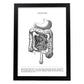 Posters de anatomía en blanco y negro con imágenes del cuerpo humano. Láminas de "Intestinos". .-Artwork-Nacnic-A4-Marco Negro-Nacnic Estudio SL