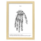 Posters de anatomía en blanco y negro con imágenes del cuerpo humano. Láminas de "Mano". .-Artwork-Nacnic-A3-Marco Madera clara-Nacnic Estudio SL