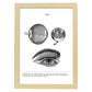 Posters de anatomía en blanco y negro con imágenes del cuerpo humano. Láminas de "Ojos". .-Artwork-Nacnic-A4-Marco Madera clara-Nacnic Estudio SL