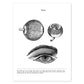 Posters de anatomía en blanco y negro con imágenes del cuerpo humano. Láminas de "Ojos". .-Artwork-Nacnic-A4-Sin marco-Nacnic Estudio SL