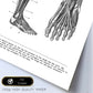 Posters de anatomía en blanco y negro con imágenes del cuerpo humano. Láminas de "Pierna". .-Artwork-Nacnic-Nacnic Estudio SL