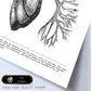 Posters de anatomía en blanco y negro con imágenes del cuerpo humano. Láminas de "Pulmones". .-Artwork-Nacnic-Nacnic Estudio SL