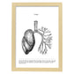 Posters de anatomía en blanco y negro con imágenes del cuerpo humano. Láminas de "Pulmones". .-Artwork-Nacnic-A3-Marco Madera clara-Nacnic Estudio SL