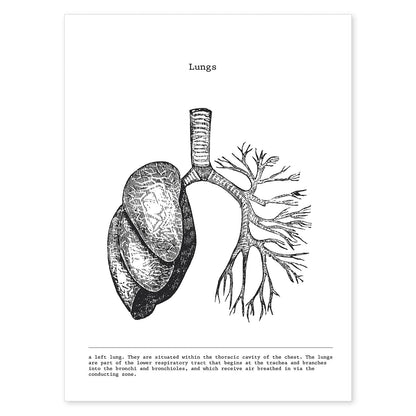 Posters de anatomía en blanco y negro con imágenes del cuerpo humano. Láminas de "Pulmones". .-Artwork-Nacnic-A4-Sin marco-Nacnic Estudio SL