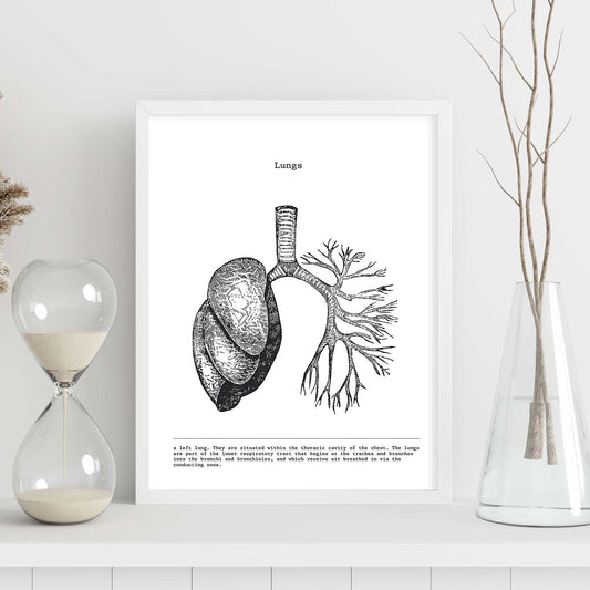 Posters de anatomía en blanco y negro con imágenes del cuerpo humano. Láminas de "Pulmones". .-Artwork-Nacnic-Nacnic Estudio SL
