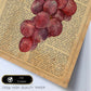 Posters de frutas con texto. Lámina Garnacha con imágenes de alimentación saludable con definiciones.-Artwork-Nacnic-Nacnic Estudio SL
