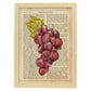 Posters de frutas con texto. Lámina Garnacha con imágenes de alimentación saludable con definiciones.-Artwork-Nacnic-A3-Marco Madera clara-Nacnic Estudio SL
