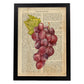 Posters de frutas con texto. Lámina Garnacha con imágenes de alimentación saludable con definiciones.-Artwork-Nacnic-A4-Marco Negro-Nacnic Estudio SL