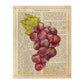 Posters de frutas con texto. Lámina Garnacha con imágenes de alimentación saludable con definiciones.-Artwork-Nacnic-A4-Sin marco-Nacnic Estudio SL