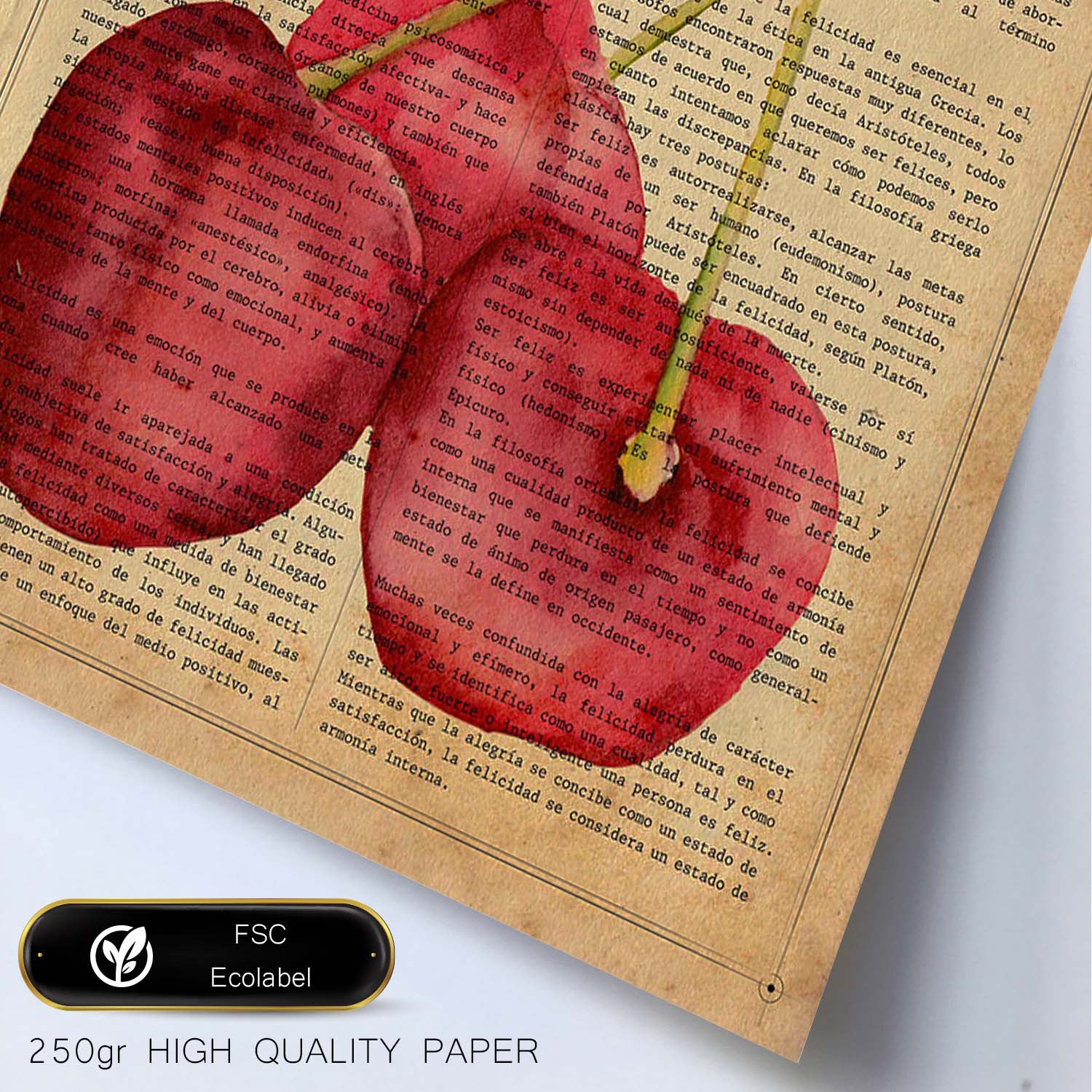 Posters de frutas con texto. Lámina Triple Suerte con imágenes de alimentación saludable con definiciones.-Artwork-Nacnic-Nacnic Estudio SL