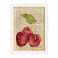 Posters de frutas con texto. Lámina Triple Suerte con imágenes de alimentación saludable con definiciones.-Artwork-Nacnic-A3-Marco Blanco-Nacnic Estudio SL