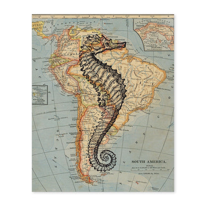 Posters de objetos sobre mapas. Lámina Caballito de mar blanco y negro, con diseño de objetos sobre mapas vintage.-Artwork-Nacnic-A4-Sin marco-Nacnic Estudio SL
