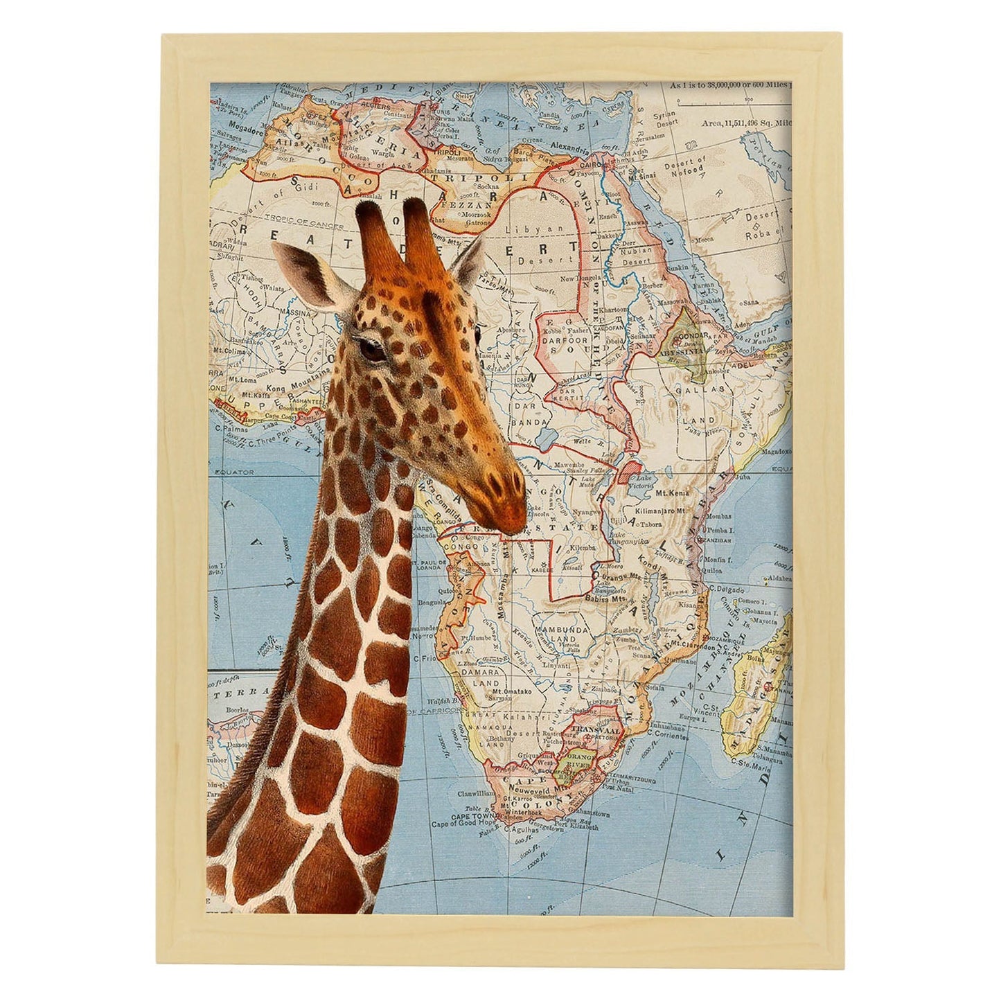 Posters de objetos sobre mapas. Lámina Girafa sueña África, con diseño de objetos sobre mapas vintage.-Artwork-Nacnic-A3-Marco Madera clara-Nacnic Estudio SL