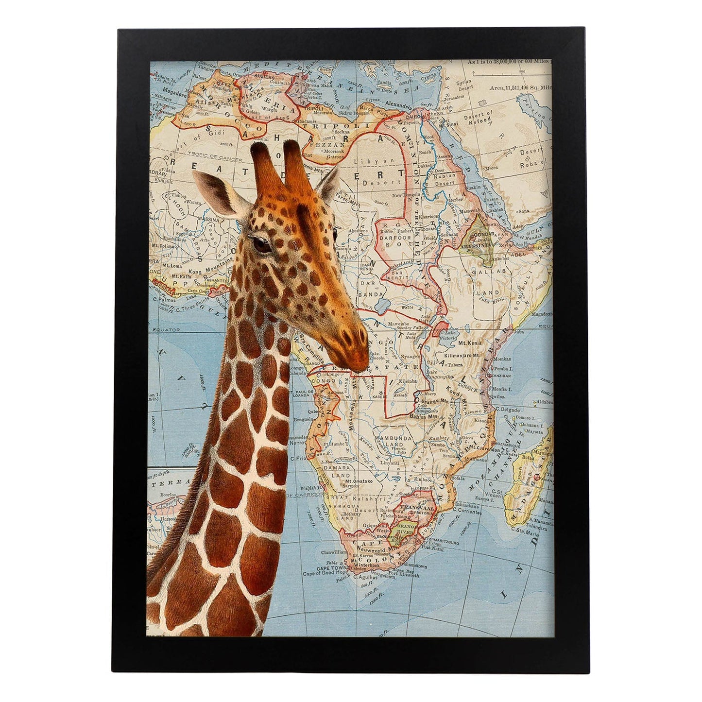 Posters de objetos sobre mapas. Lámina Girafa sueña África, con diseño de objetos sobre mapas vintage.-Artwork-Nacnic-A3-Marco Negro-Nacnic Estudio SL
