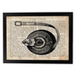 Posters de objetos vintage. Lámina Metro Vintage con imágenes de objetos e instrumentos vintage, con definiciones en español.-Artwork-Nacnic-A4-Marco Negro-Nacnic Estudio SL