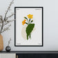 Primrose-Artwork-Nacnic-Nacnic Estudio SL