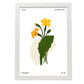 Primrose-Artwork-Nacnic-A3-Marco Blanco-Nacnic Estudio SL