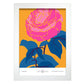 Ranunculus-Artwork-Nacnic-A4-Marco Blanco-Nacnic Estudio SL