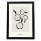 Red Onions-Artwork-Nacnic-A3-Sin marco-Nacnic Estudio SL
